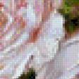 Предпросмотр схемы вышивки «розы» (№616753)