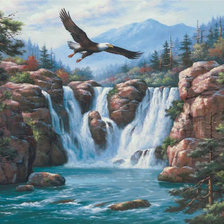 полет орла над водопадом