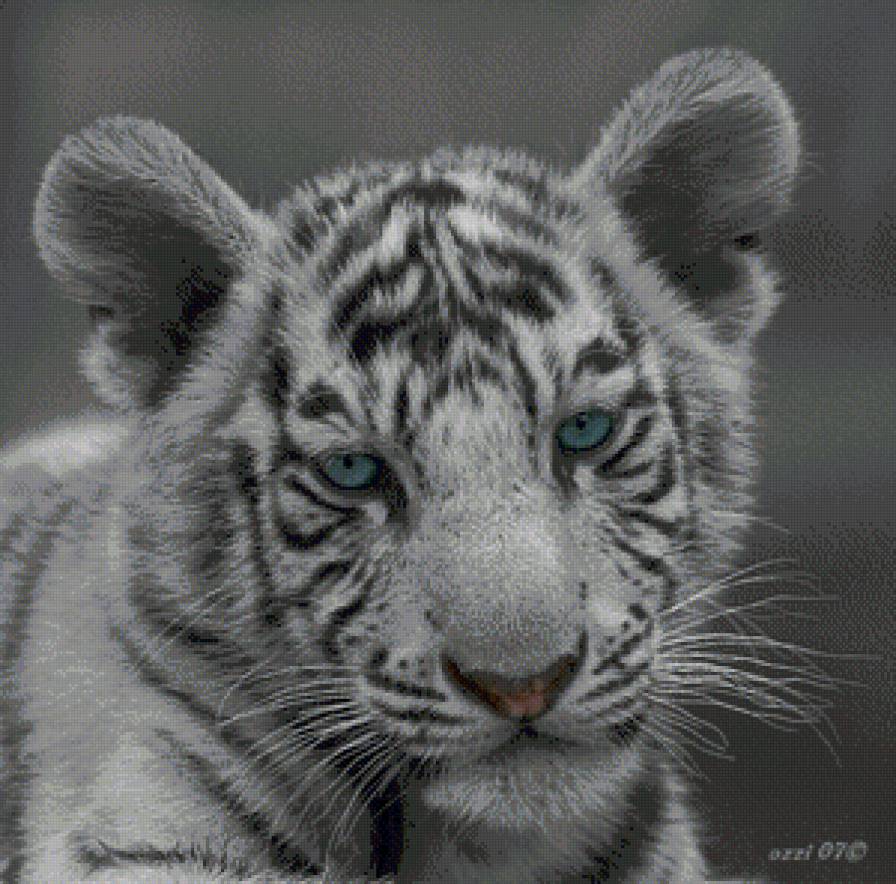 задумчивый тигренок - животные, тигр, хищник, большие кошки - предпросмотр