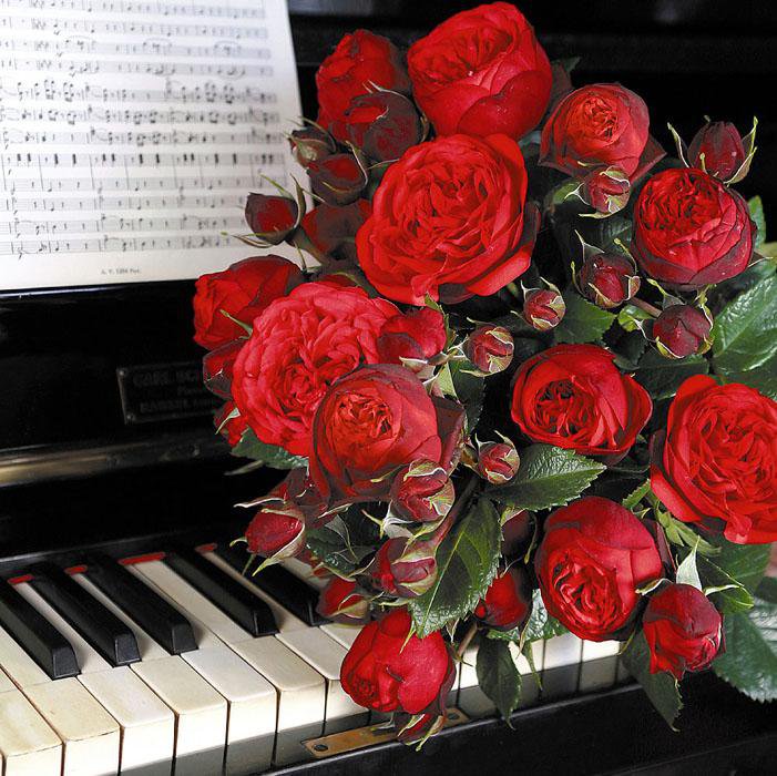 Музыкальное Поздравление С Днем Рождения Розе