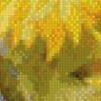 Предпросмотр схемы вышивки «Солнечные цветы.» (№617868)