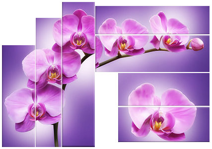 цветы - фиолетовое, полиптих, красота, коалы - оригинал