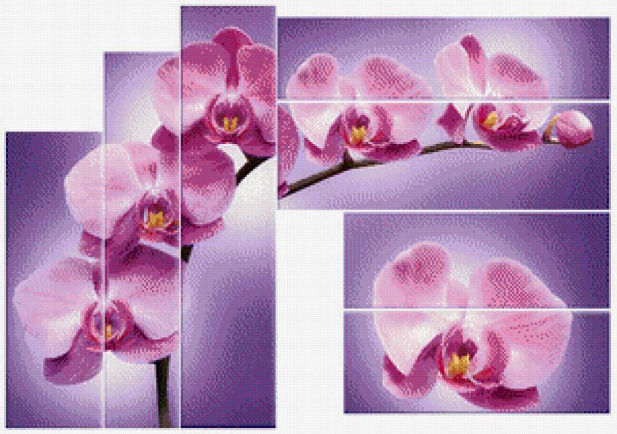 цветы - фиолетовое, полиптих, красота, коалы - предпросмотр