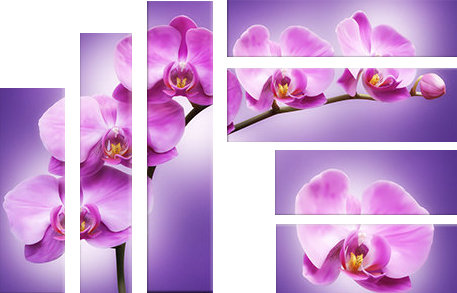 цветы - полиптих, красота, фиолетовое - оригинал