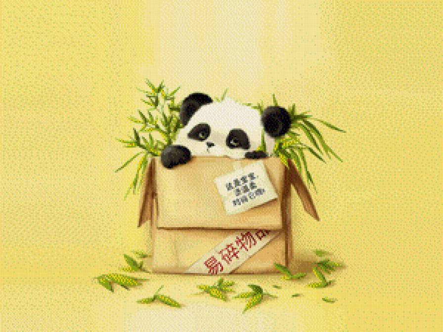 Панда в коробке - животные, панда - предпросмотр