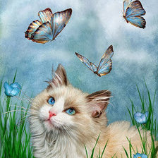 Оригинал схемы вышивки «Кот и бабочки» (№618443)
