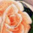 Предпросмотр схемы вышивки «Оранжевые розы» (№618917)