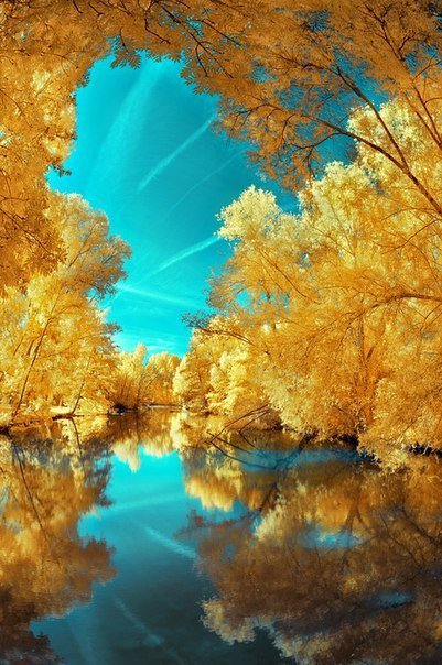 Золотая осень - осень, природа, река, золото - оригинал