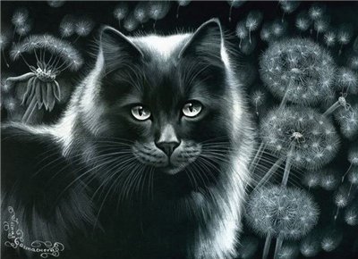 серия "Кошки" 12 - природа. животные. кошка - оригинал