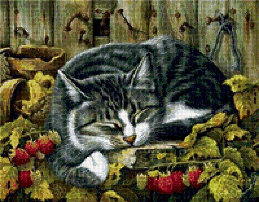 серия "Кошки" 19 - природа. животные. кошка - предпросмотр