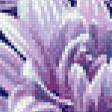 Предпросмотр схемы вышивки «Хризантемы» (№619156)