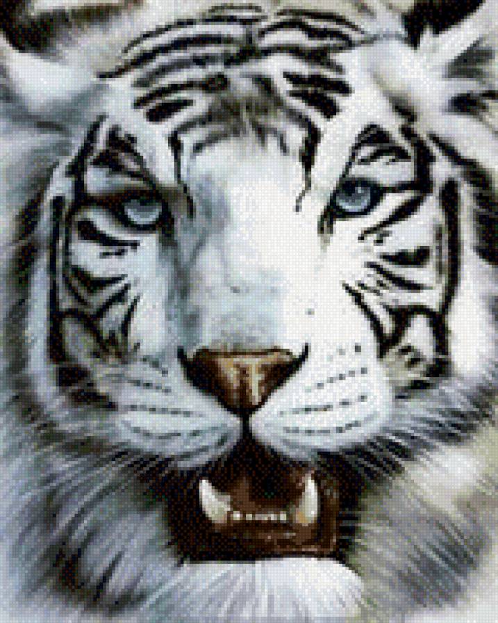 белый тигр - хищники, животные, тигр - предпросмотр