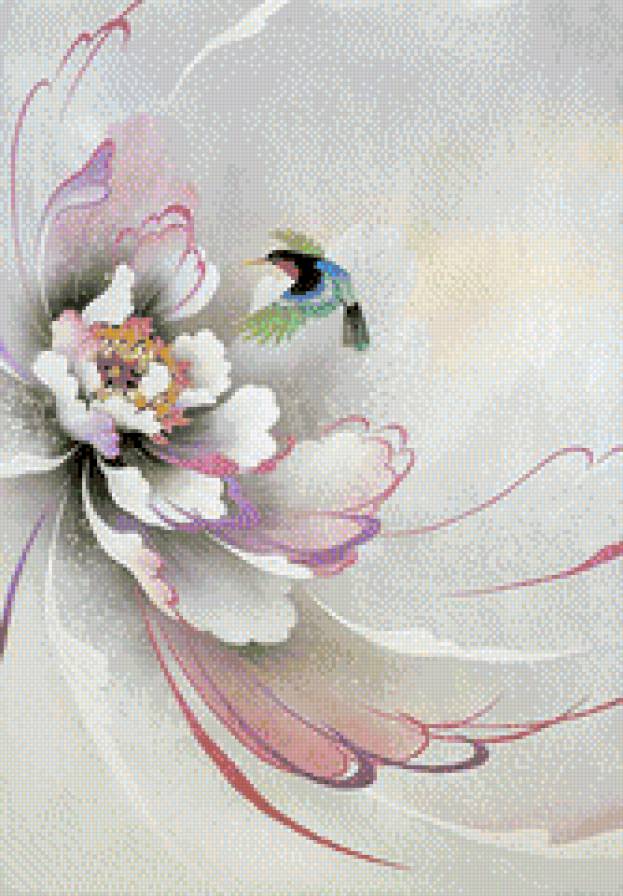 колибри с цветком - птицы, цветы - предпросмотр