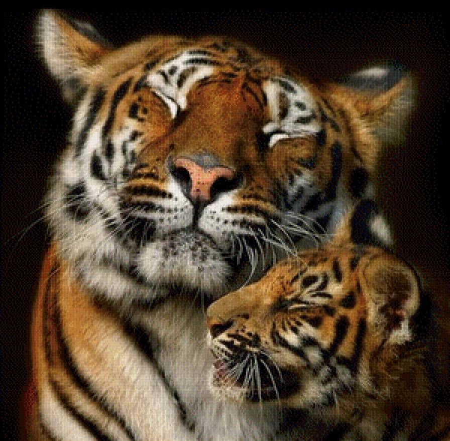 Мамина радость - 2 - большие кошки, тигр, хищник, животные - предпросмотр