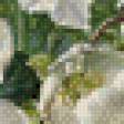 Предпросмотр схемы вышивки «белые цветы» (№619671)