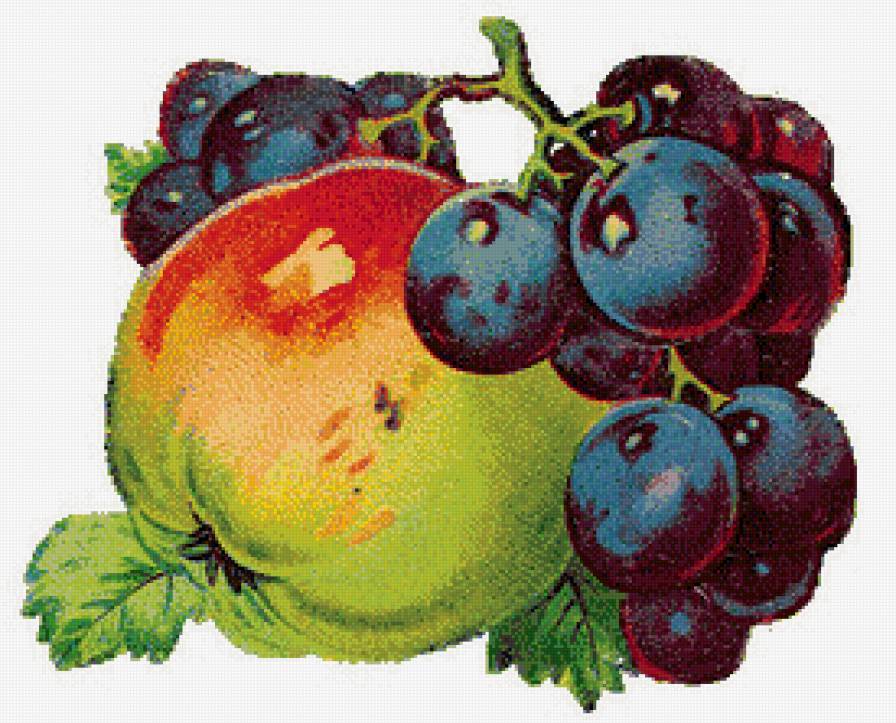 Натюрморт - ягоды, фрукты, натюрморт - предпросмотр