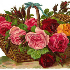Оригинал схемы вышивки «Розы в корзине» (№620204)