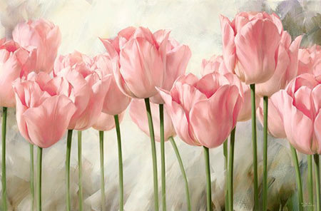 Цветы - цветы, тюльпаны, розовый - оригинал