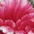 Предпросмотр схемы вышивки «прекрасные цветы» (№621447)