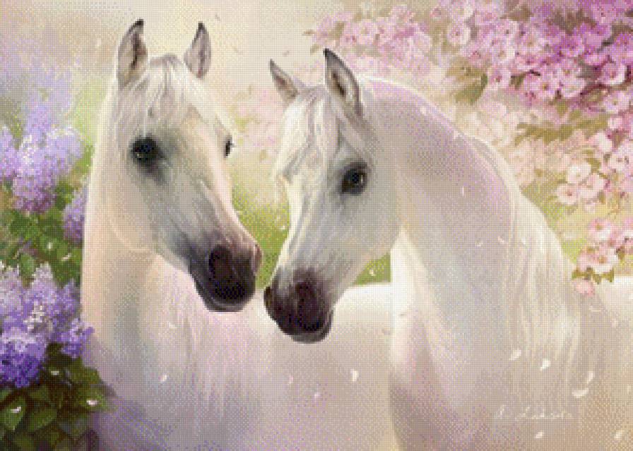 белые лошади - предпросмотр