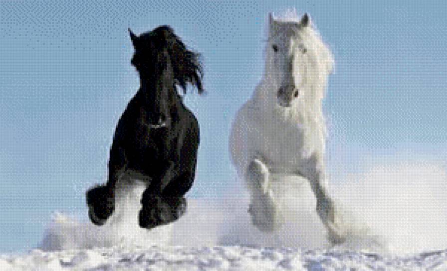 Лошади - лошади, черная, лошадь, белая, песок - предпросмотр