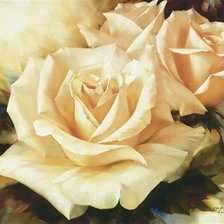 Оригинал схемы вышивки «белые розы» (№622163)