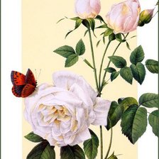 Оригинал схемы вышивки «бабочки на розах» (№622165)