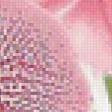 Предпросмотр схемы вышивки «розовая орхидея» (№622327)