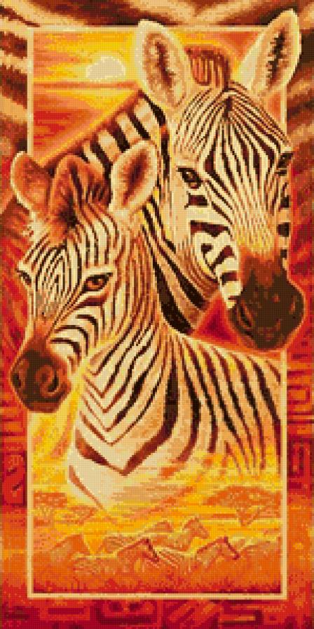 Зебры - зебры, животные, африка - предпросмотр