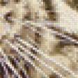 Предпросмотр схемы вышивки «Тигр» (№622386)