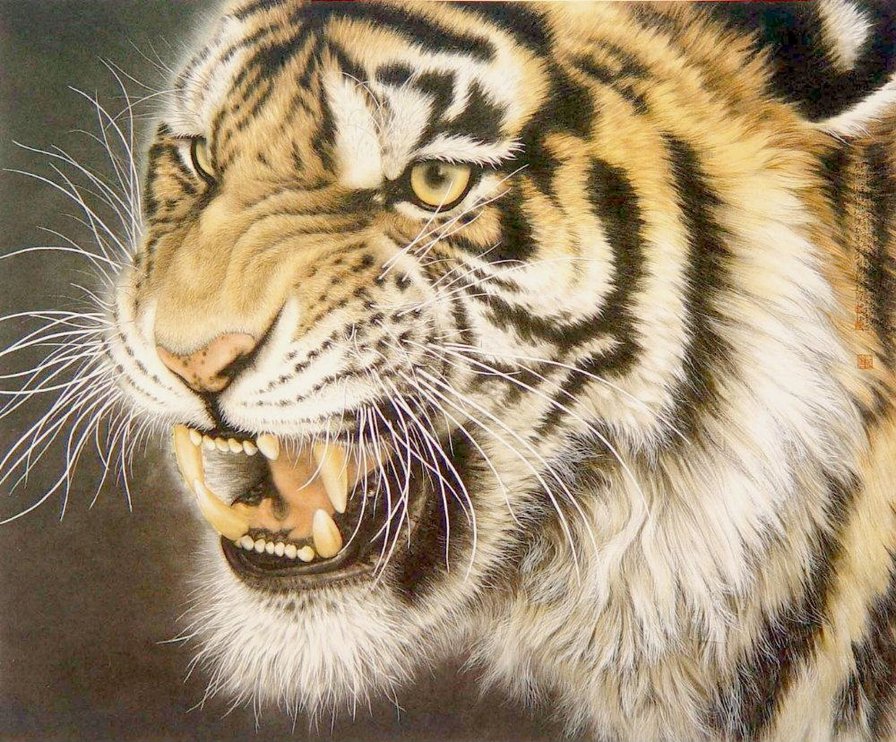 Тигр - тигр - оригинал
