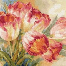 Схема вышивки «нежные тюльпаны»