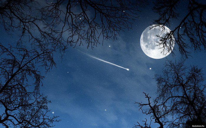 звезда упала..... - ночь, ночное небо, небо, деревья, луна - оригинал