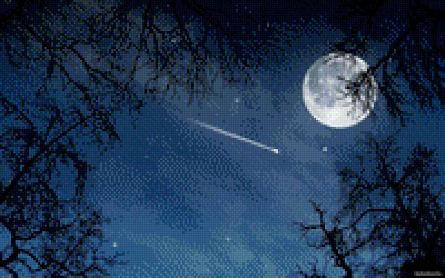звезда упала..... - ночь, луна, небо, ночное небо, деревья - предпросмотр