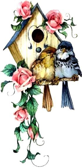 влюбленные - птицы - оригинал