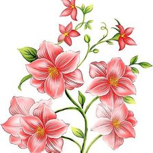 Оригинал схемы вышивки «Нежные цветы» (№623882)