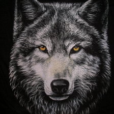 Оригинал схемы вышивки «волк2» (№624079)