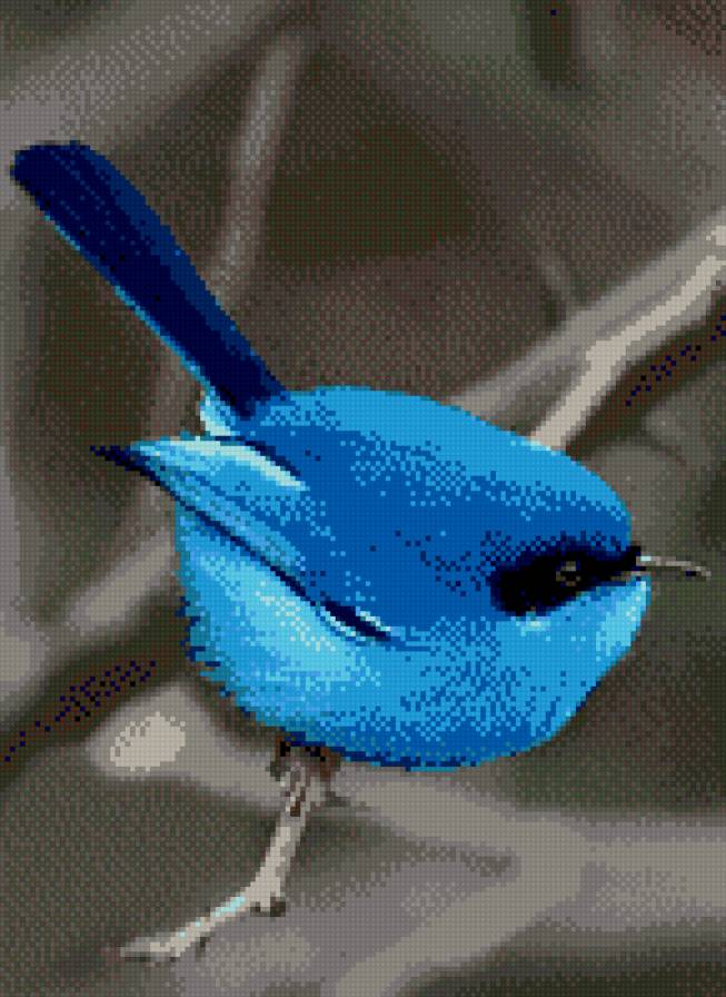 синяя птица 1 - птица - предпросмотр