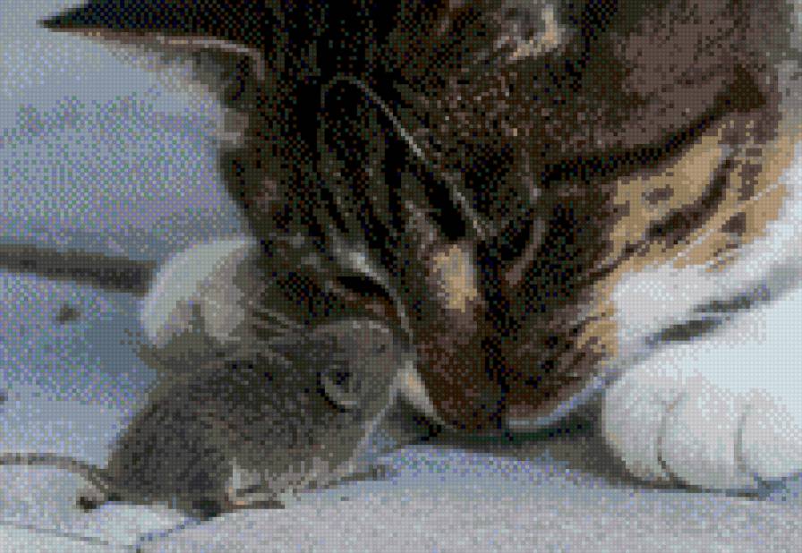 кошки-мышки - кот, мышь - предпросмотр