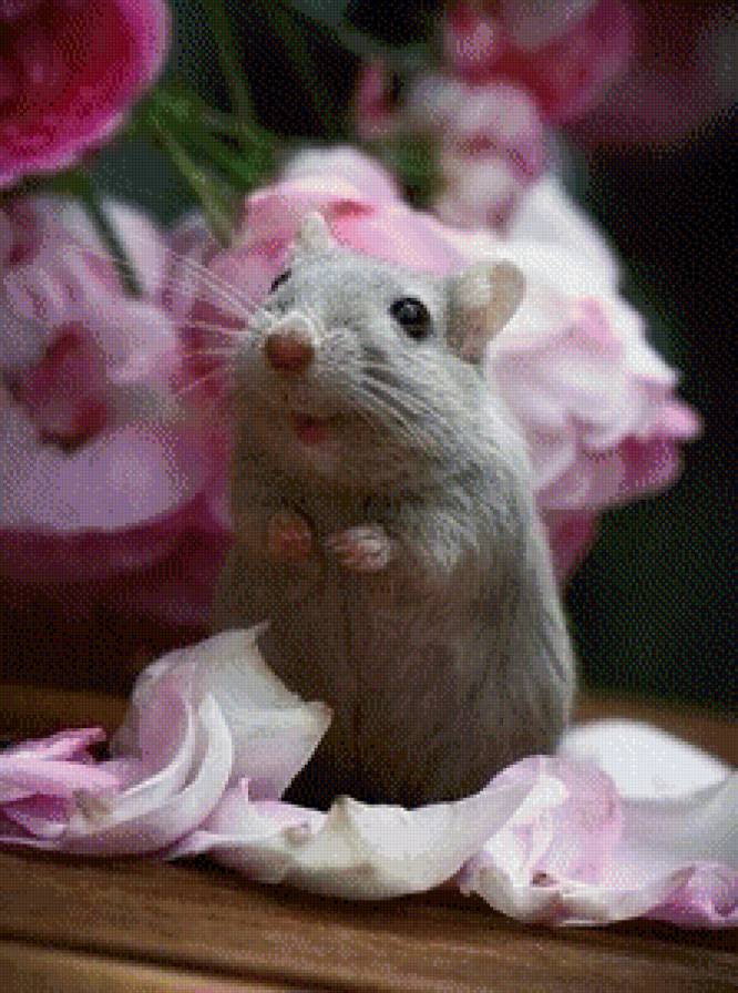 №624351 - мышка, цветы - предпросмотр