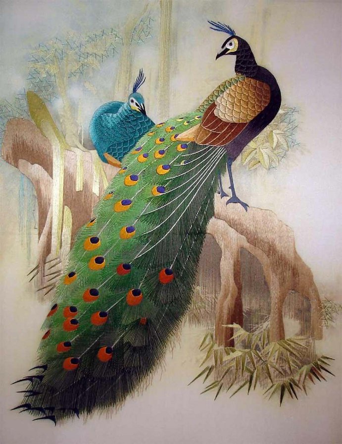 павлины - красота, орел, птица, природа, картина - оригинал
