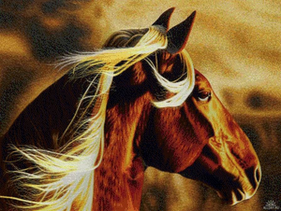 лошадки - природа, лошадь, красота, картина, животные - предпросмотр