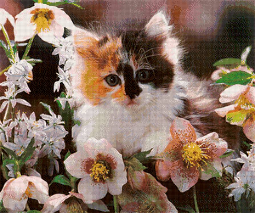 котёнок в цветах - котенок, цветы, животные - предпросмотр