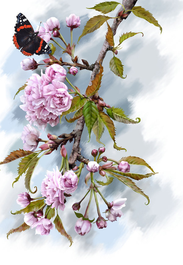 Цветущая ветка - бабочка, цветы, ветка - оригинал
