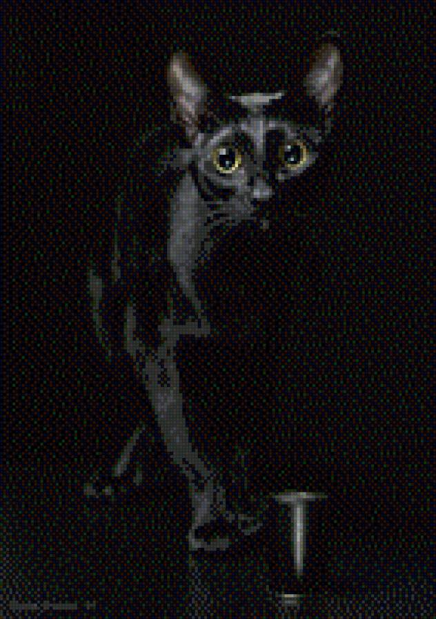 Кот - черный фон, кот - предпросмотр