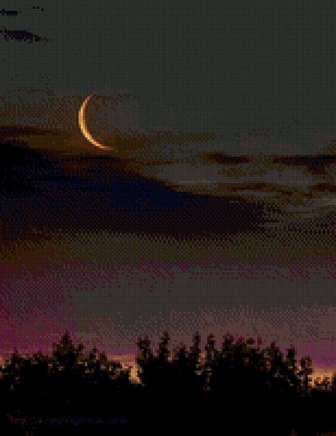 Ночное небо - природа, лес, луна - предпросмотр