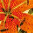 Предпросмотр схемы вышивки «"Рыжая"лилия.» (№625521)