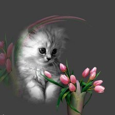 котенок с тюльпаном