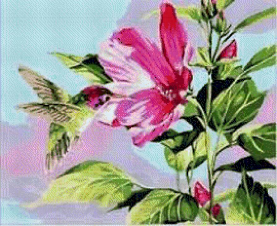 колибри на цветке - птицы, цветы - предпросмотр