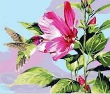 колибри на цветке